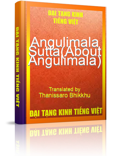 Đại Tạng Kinh Việt Nam