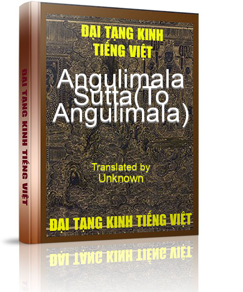 Đại Tạng Kinh Việt Nam