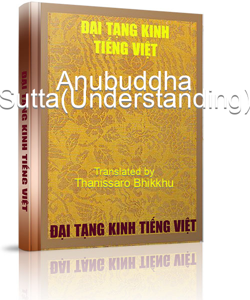 Đại Tạng Kinh Việt Nam