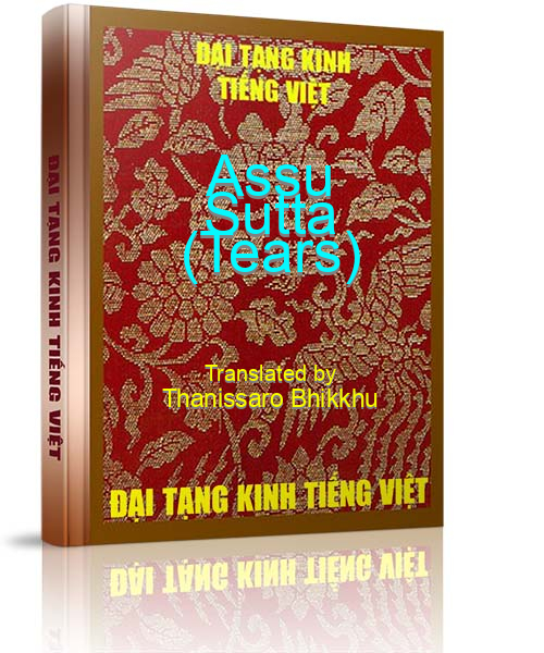 Đại Tạng Kinh Việt Nam