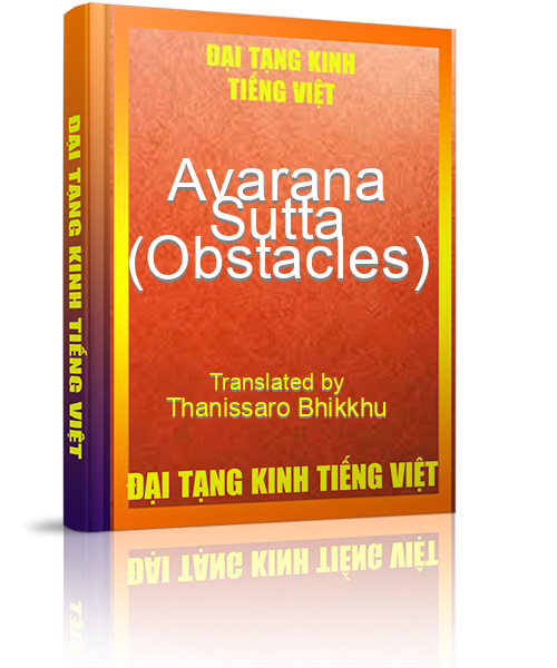 Đại Tạng Kinh Việt Nam