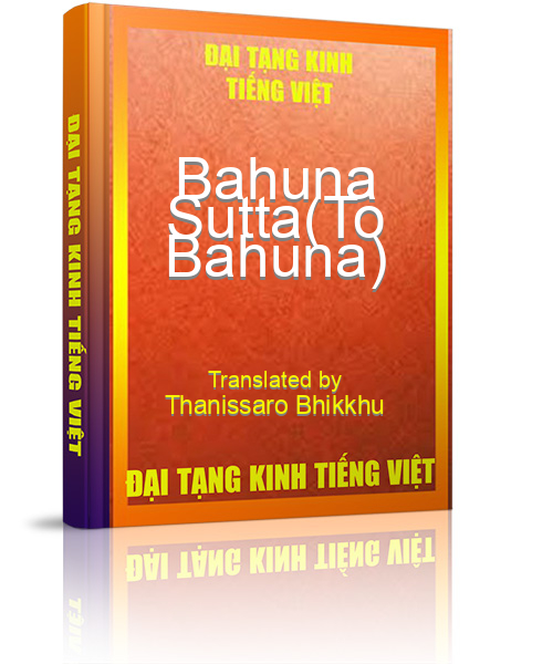 Đại Tạng Kinh Việt Nam