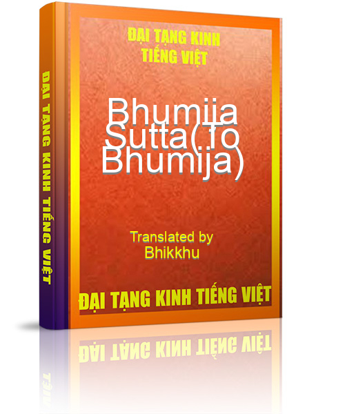 Đại Tạng Kinh Việt Nam