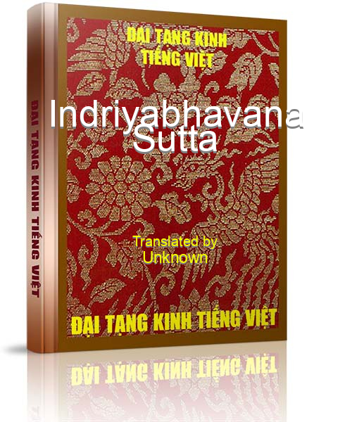 Đại Tạng Kinh Việt Nam