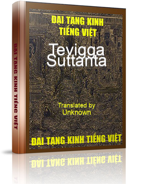 Đại Tạng Kinh Việt Nam