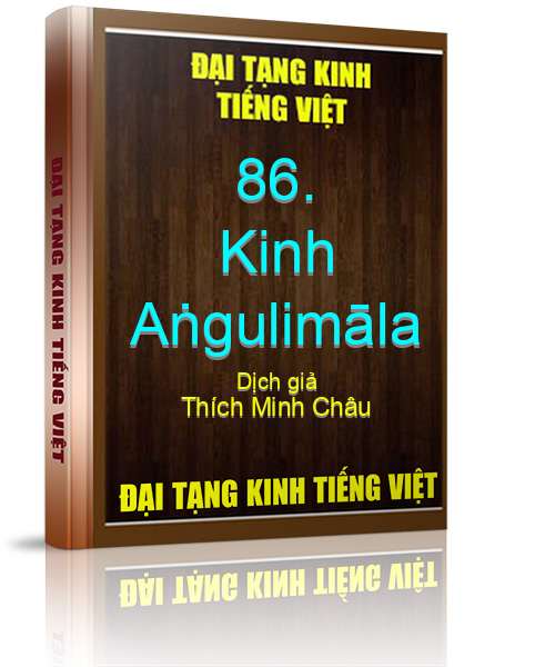 Đại Tạng Kinh Việt Nam